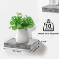 Wall-Mounted Floating Shelf