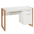Computer Desk with Storage Cabinet and Pull-Out Drawer - Sturdy Design