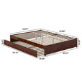Barcelona Twin XL Trundle Panel Bed with Platform Design